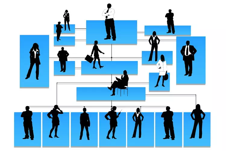 L'organigramme de l'entreprise