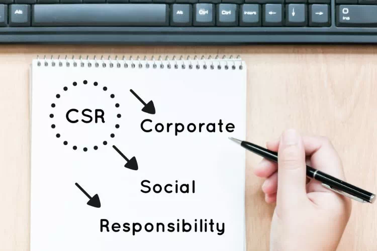 Responsabilité sociétale des entreprises : corporate social responsibility