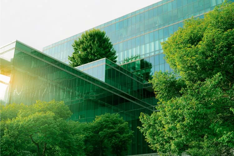 Immeuble de bureaux entouré d'arbres