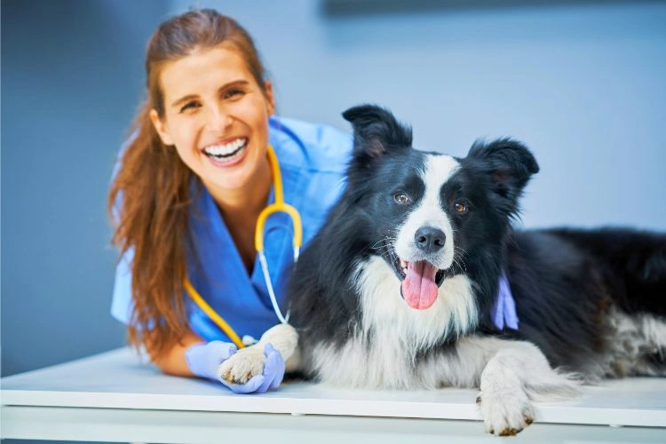 Vétérinaire qui rigole à côté d'un de ses patients chien