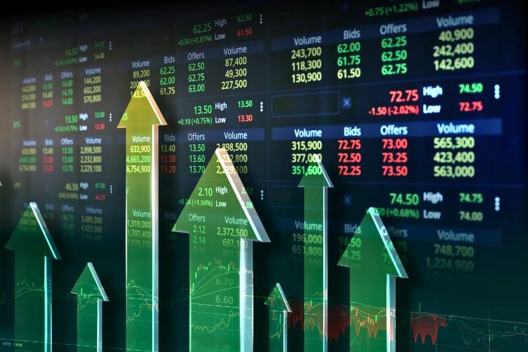 Application de gestion des marchés
