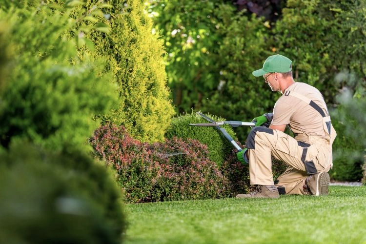 Homme jardinier en plein travail