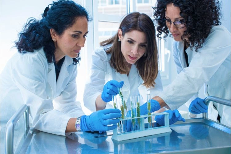 Ingénieurs procédés en chimie en plein travail