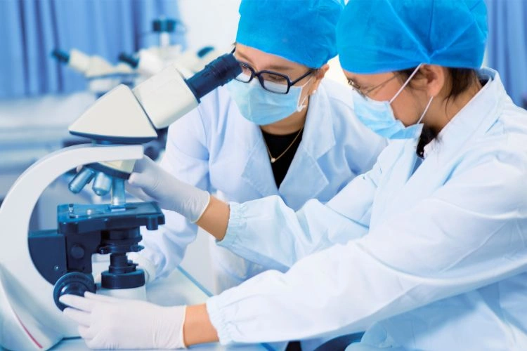 Biologistes dans un laboratoire