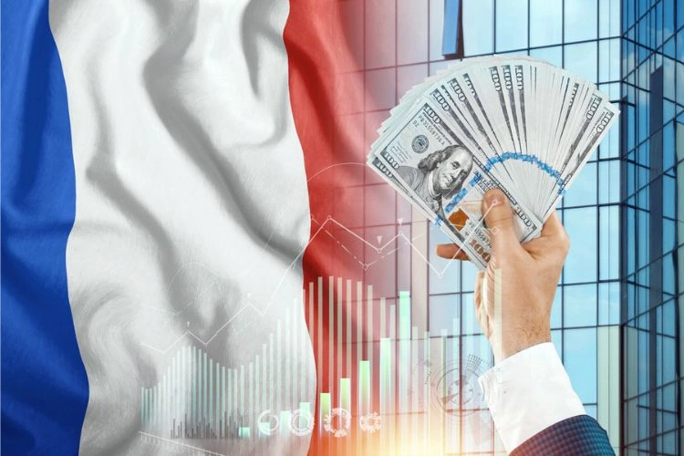 Représentation du salaire en France
