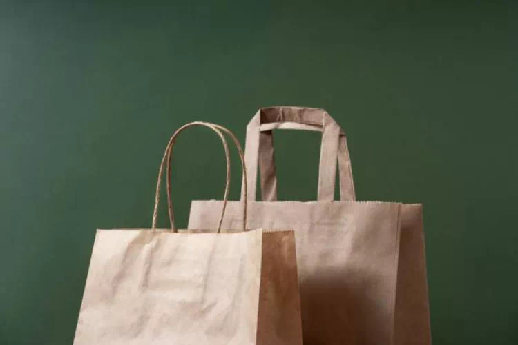 Sacs kraft bien que robustes et écologiques